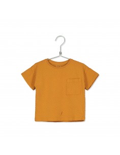 Jacquard Short Tshirt Sunshine - Lotiekids