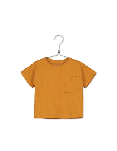 Jacquard Short Tshirt Sunshine - Lotiekids