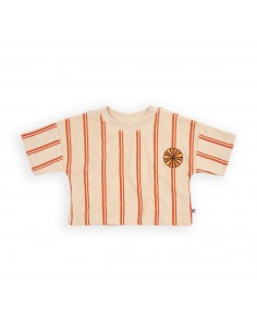 Stripes Flame Cropped Tshirt wt Embroidery - CarlijnQ