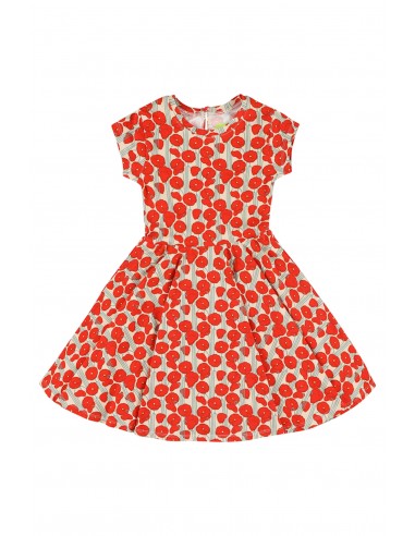 Arlette Circle Dress Poppies - Lily Balou