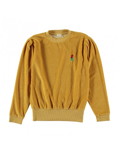 Sweater Grainau Mustard - Picnik