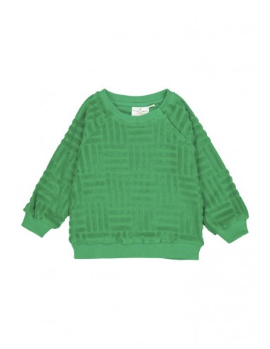 Sweater Jamie Terry Green - The New