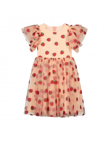 Love Berry Much Tulle Dress - Daily Brat