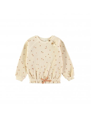 Sweatshirt Little Fruits Cinnamon - Babyclic