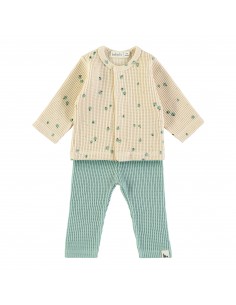 Baby Set Little Fruits Green - Babyclic